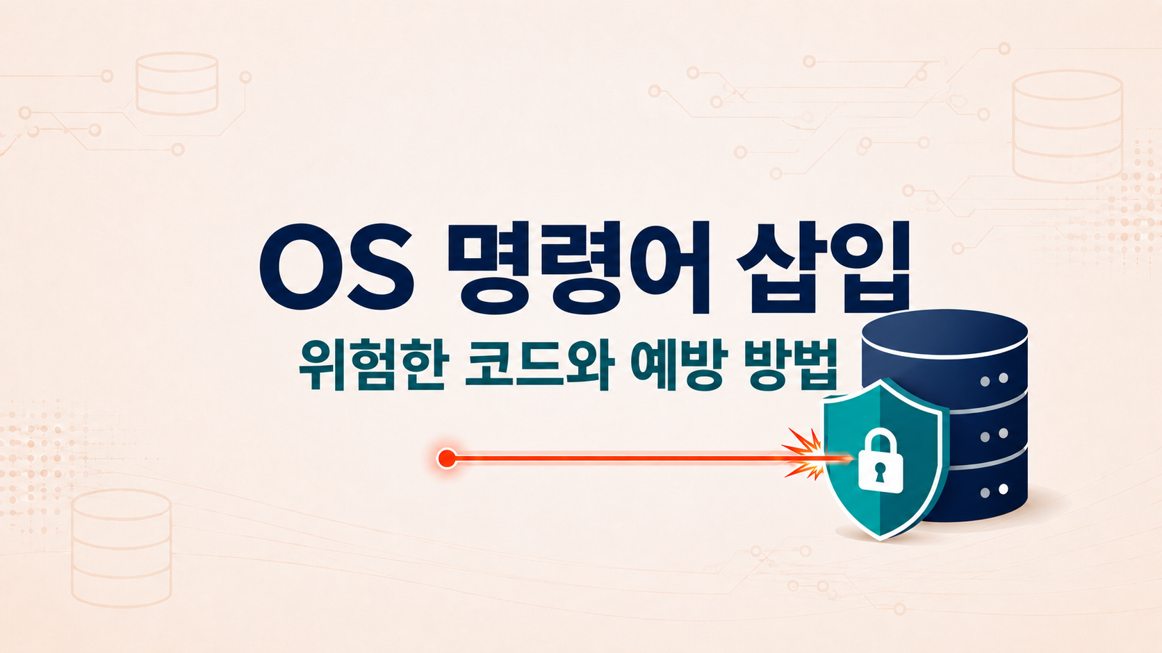 OS 명령어 삽입